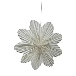 Adventsstjärna 'Daisy' 60cm - Vit