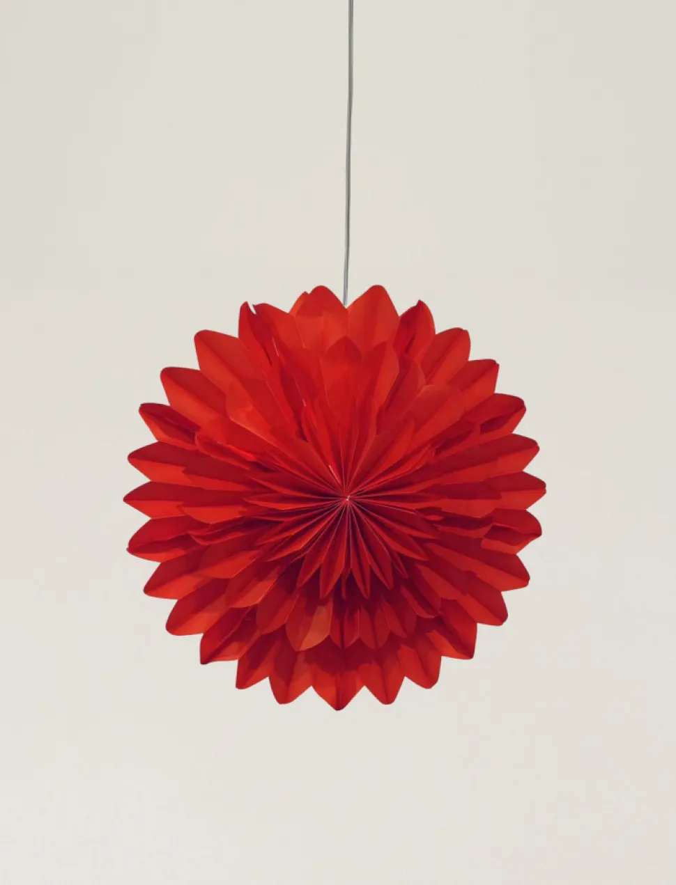 Adventsstjärna 'Lotus' 45cm - Röd