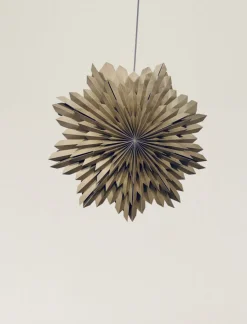 Adventsstjärna 'Oslo' 80cm - Brun