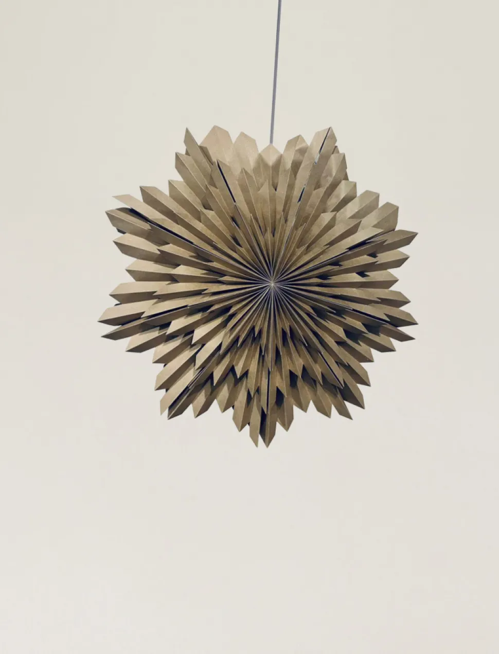 Adventsstjärna 'Oslo' 80cm - Brun