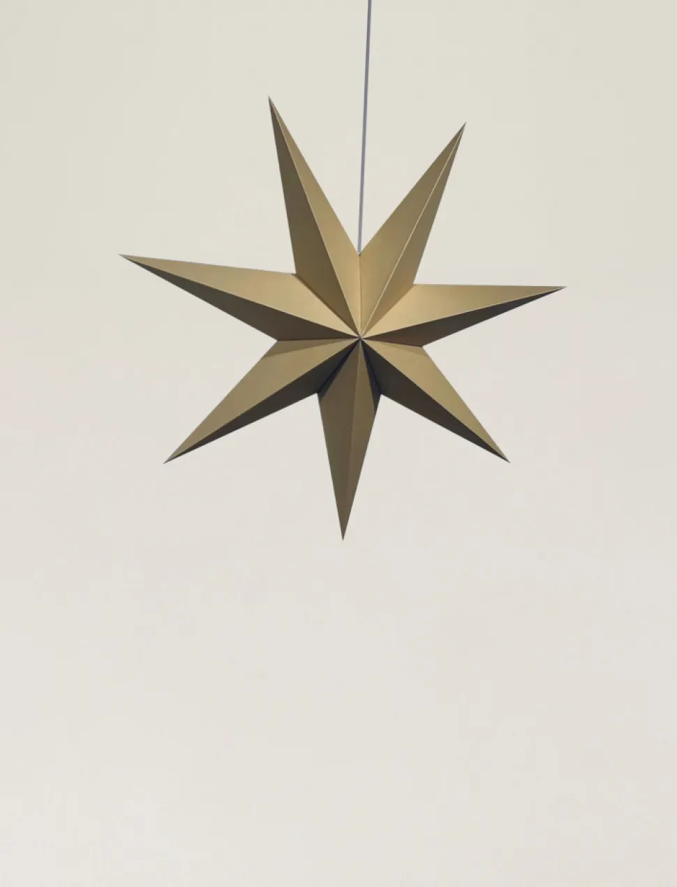 Adventsstjärna 'Sally' 60cm - Brun