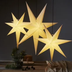 Julstjärna 'Frozen' - Vit