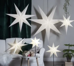 Julstjärna 'Frozen' - Vit