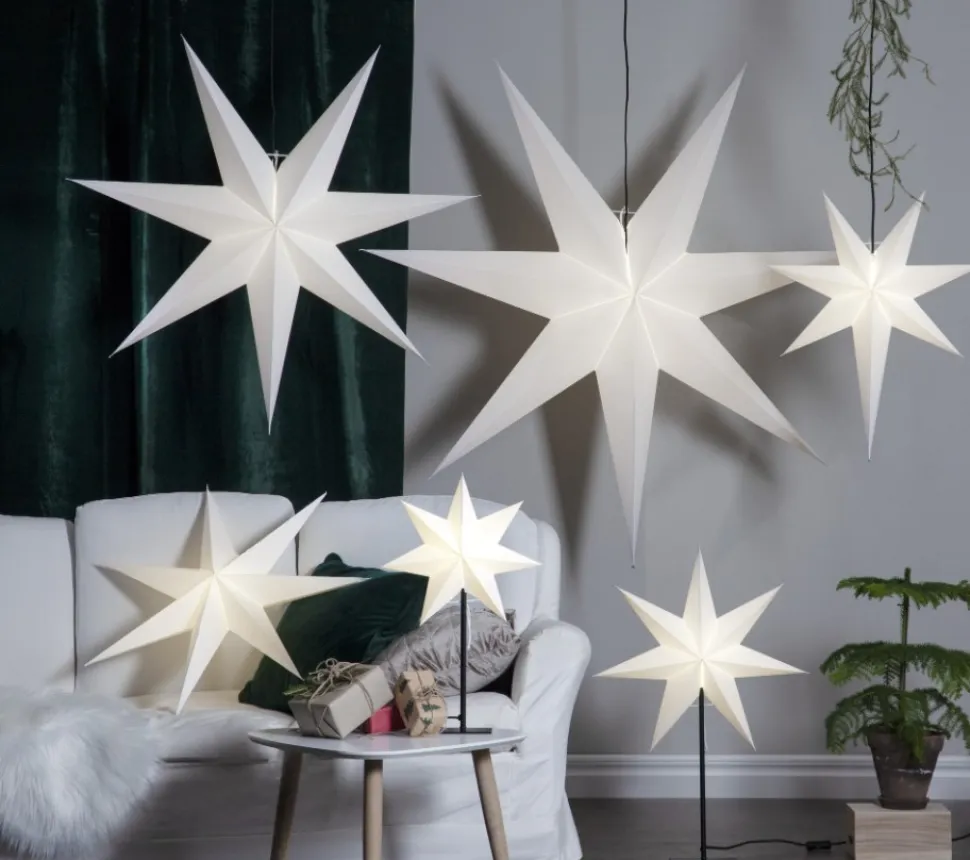 Julstjärna 'Frozen' - Vit
