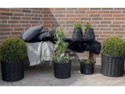 Korgar 'Bogor Black' 4-pack - Svart
