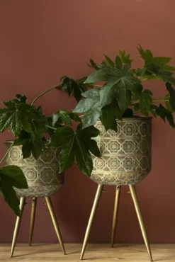 Kruka 'Botanique' L - Mässing